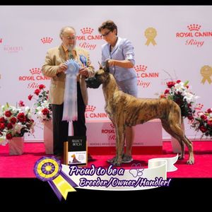 Meet your Posher, Kristi